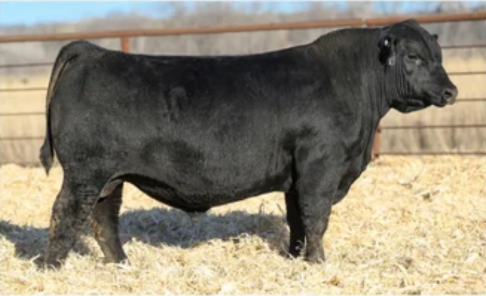 RVR RRR RANGELAND 529L